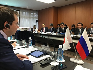 Россией и Японией создана рабочая подгруппа по формированию городских стандартов