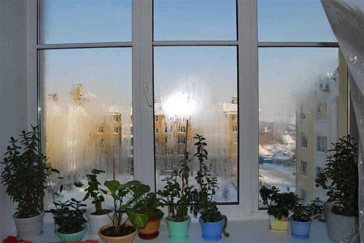 Эксперты Премии WinAwards Russia 2017 советуют, как просто предотвратить выпадение конденсата на окнах зимой