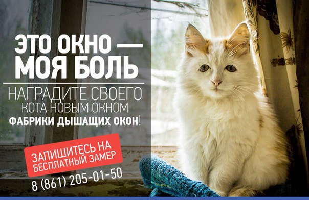 «Фабрика Дышащих Окон» объявляет конкурс: на кону – бесплатное остекление окна! «Фабрика Дышащих Окон» объявляет конкурс: на кону – бесплатное остекление окна!