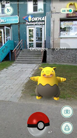 Pokemon GO в «Окнах Петербурга»!