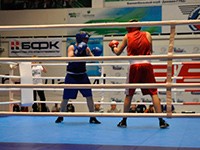 Холдинг «БФК» поддерживает спортсменов Сибири