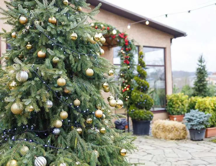 Стало известно, во сколько в РФ обошлось строительство и расширение дома в 2023 году