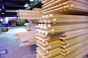 Разработан стандарт оценки рисков при покупке древесины у не сертифицированных поставщиков