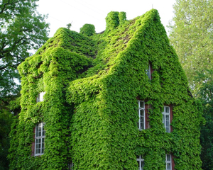 Использование новых строительных стандартов Passivhaus позволит обогревать жилые дома, используя энергию от включенного телевизора