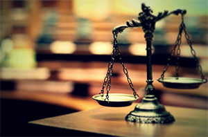 В уставе фирмы, которая выиграла аукцион на остекление школ, не была предусмотрена строительная деятельность