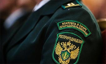 Росприроднадзор оштрафовал Борский стекольный завод в Нижегородской области за нарушение правил обращения с отходами