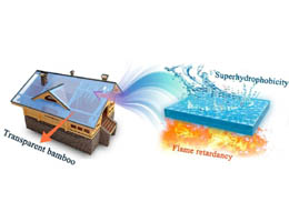 Прозрачный бамбук: огнестойкая и водоотталкивающая альтернатива стеклу