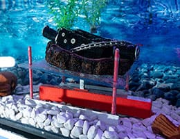 Цепной привод для влажных зон: когда стандартные решения не справляются