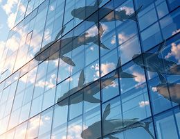 В Новосибирске остекление элитной высотки превращает квартиры в аквариумы