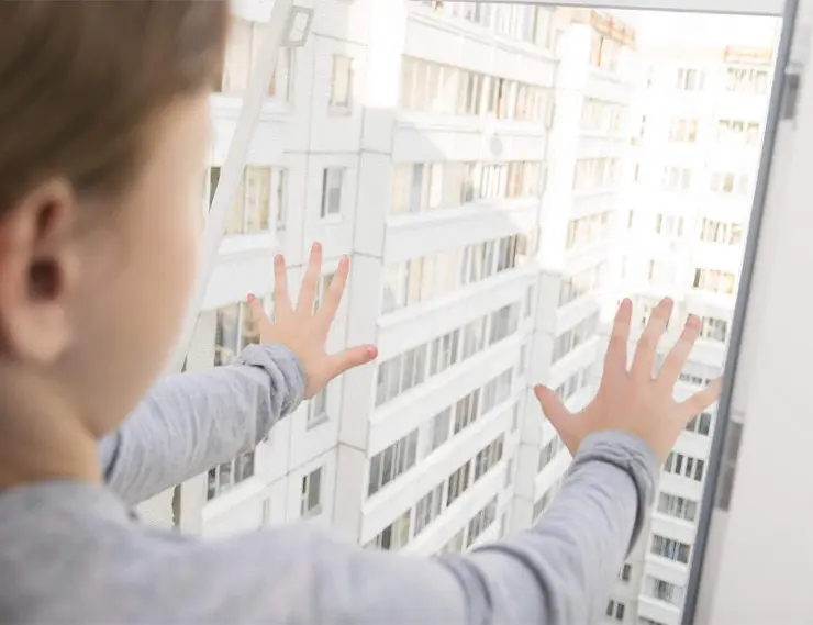 В Госдуме призвали производителей наносить на москитные сетки предупреждающие знаки