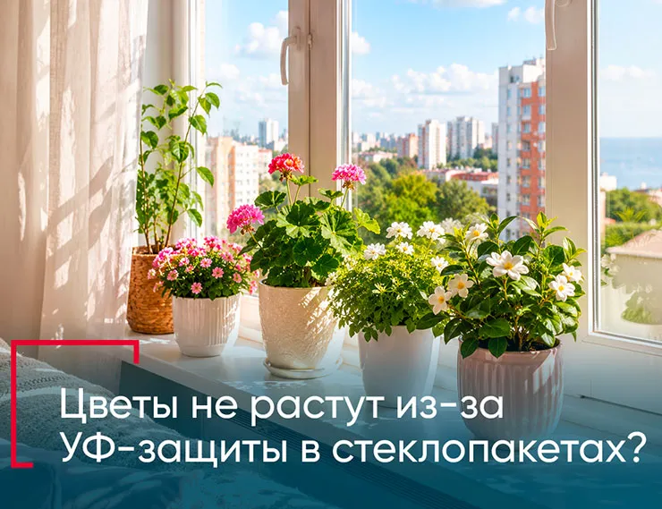 STiS: будут ли расти цветы на подоконнике, если установить стеклопакеты с УФ-защитой?