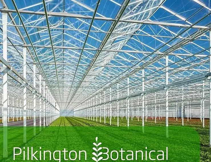 Новая линейка стёкол для теплиц Pilkington Botanical стимулирует рост и урожайность