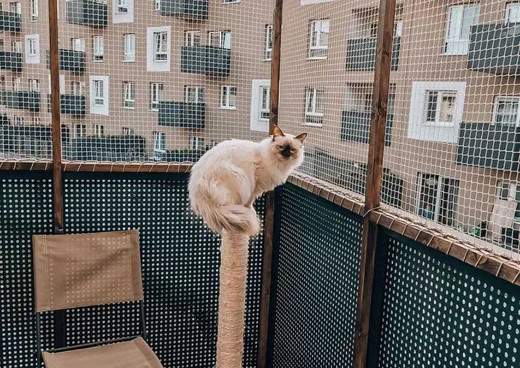 Защитная сетка для кошки на балконе