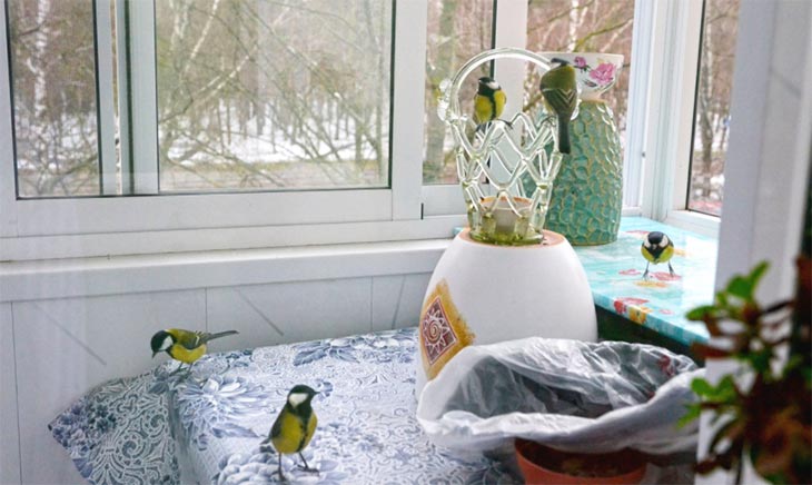 Кто на балконе хозяин?