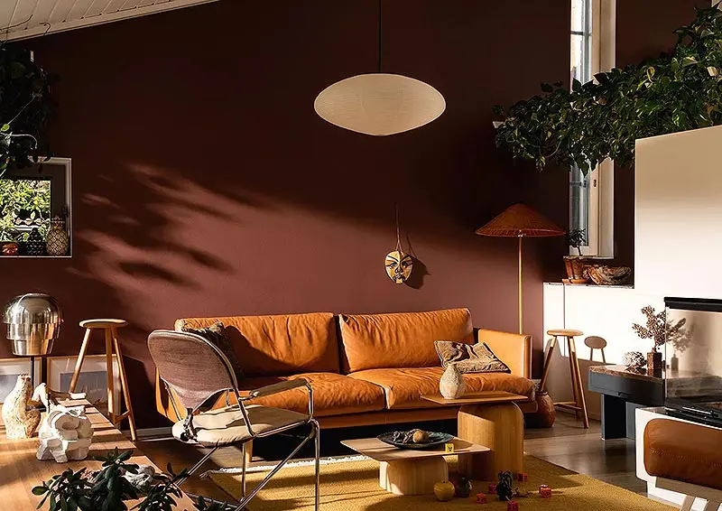 Цвет 2022 года Kestrel чувствует себя как дома как в современном, так и традиционном стиле