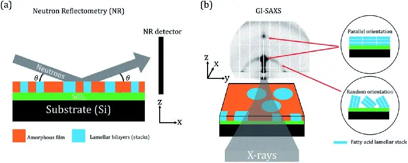 Схематическое представление (а) экспериментов по рефлектометрии нейтронов (NR) и (б) малоуглового рассеяния рентгеновских лучей (GI-SAXS) со скользящим падением